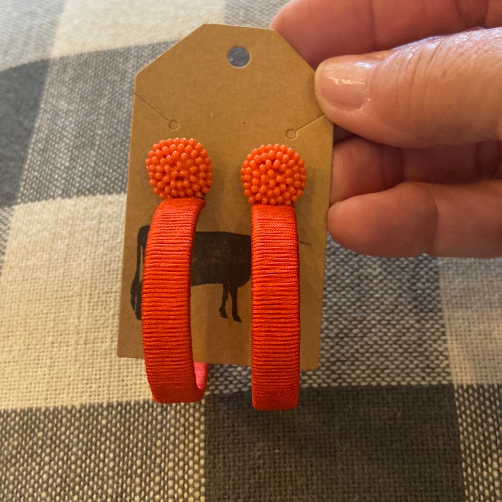 Earrings